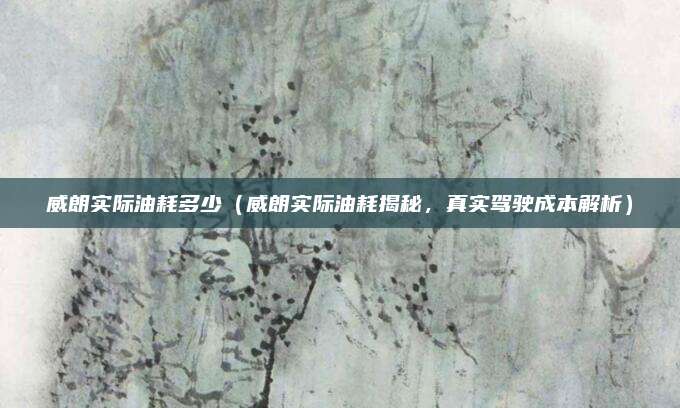 威朗实际油耗多少(威朗实际油耗揭秘,真实驾驶成本解析)