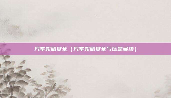 汽车轮胎安全(汽车轮胎安全气压是多少)