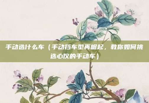 手动选什么车(手动挡车型再崛起,教你如何挑选心仪的手动车)