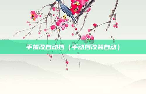 手拔改自动挡(手动挡改装自动)