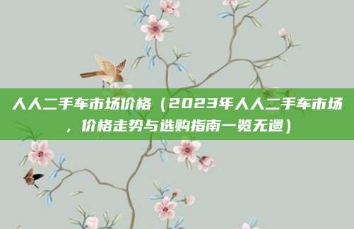 人人二手车市场价格(2023年人人二手车市场,价格走势与选购指南一览无遗)