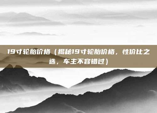 19寸轮胎价格(揭秘19寸轮胎价格,性价比之选,车主不容错过)
