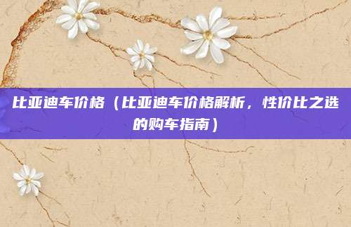 比亚迪车价格(比亚迪车价格解析,性价比之选的购车指南)
