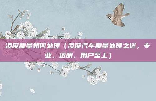 凌度质量如何处理(凌度汽车质量处理之道,专业、透明、用户至上)