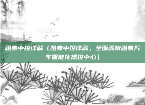 哈弗中控详解(哈弗中控详解,全面解析哈弗汽车智能化操控中心)