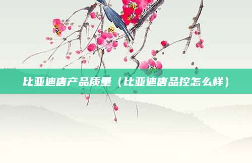 比亚迪唐产品质量(比亚迪唐品控怎么样)