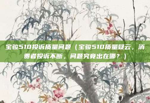宝骏510投诉质量问题(宝骏510质量疑云,消费者投诉不断,问题究竟出在哪?)