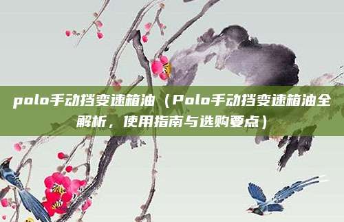 polo手动挡变速箱油(Polo手动挡变速箱油全解析,使用指南与选购要点)