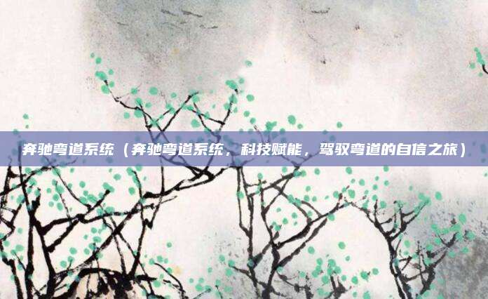 奔驰弯道系统(奔驰弯道系统,科技赋能,驾驭弯道的自信之旅)