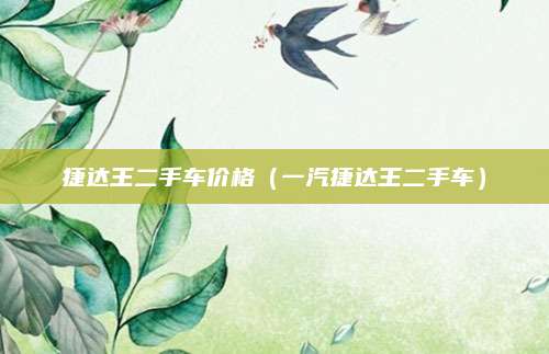 捷达王二手车价格(一汽捷达王二手车)