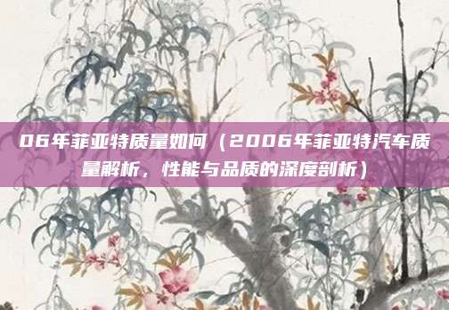 06年菲亚特质量如何(2006年菲亚特汽车质量解析,性能与品质的深度剖析)