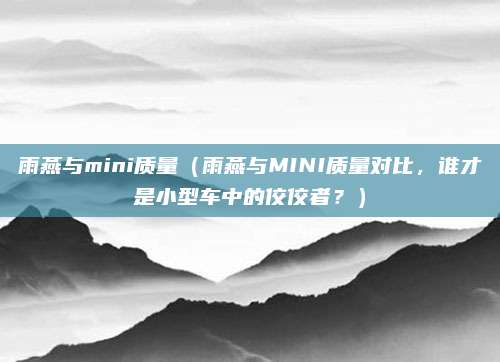 雨燕与mini质量(雨燕与MINI质量对比,谁才是小型车中的佼佼者?)