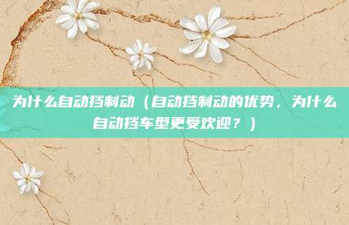 为什么自动挡制动(自动挡制动的优势,为什么自动挡车型更受欢迎?)