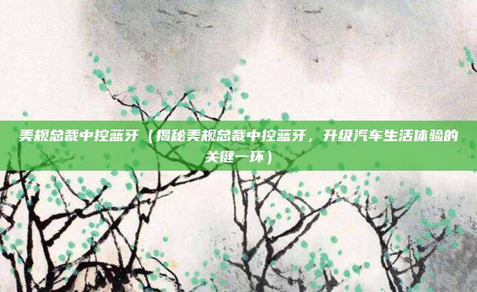 美规总裁中控蓝牙(揭秘美规总裁中控蓝牙,升级汽车生活体验的关键一环)