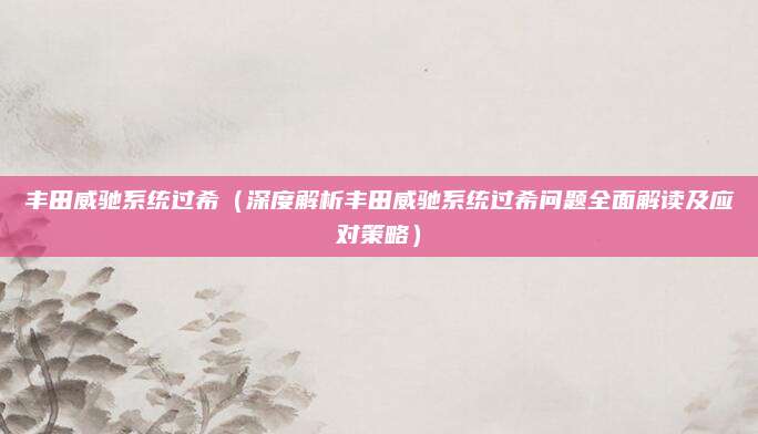 丰田威驰系统过希(深度解析丰田威驰系统过希问题全面解读及应对策略)