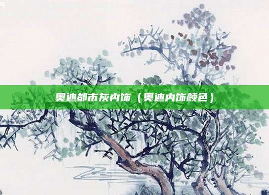 奥迪都市灰内饰(奥迪内饰颜色)