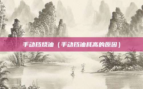 手动挡烧油(手动挡油耗高的原因)