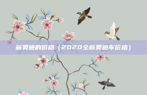 新奥迪的价格(2020全新奥迪车价格)