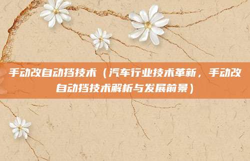 手动改自动挡技术(汽车行业技术革新,手动改自动挡技术解析与发展前景)