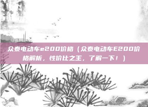 众泰电动车e200价格（众泰电动车E200价格解析，性价比之王，了解一下！）