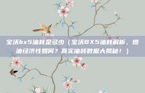 宝沃bx5油耗是多少（宝沃BX5油耗解析，燃油经济性如何？真实油耗数据大揭秘！）
