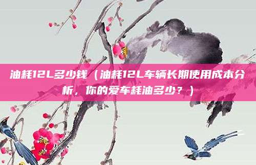 油耗12L多少钱（油耗12L车辆长期使用成本分析，你的爱车耗油多少？）