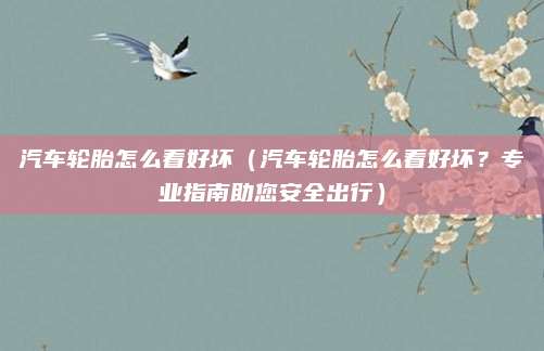 汽车轮胎怎么看好坏（汽车轮胎怎么看好坏？专业指南助您安全出行）