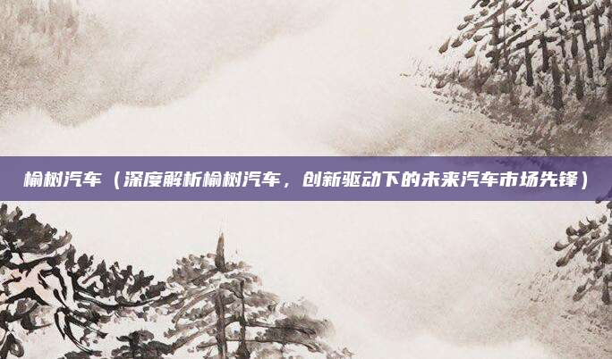 榆树汽车(深度解析榆树汽车,创新驱动下的未来汽车市场先锋)