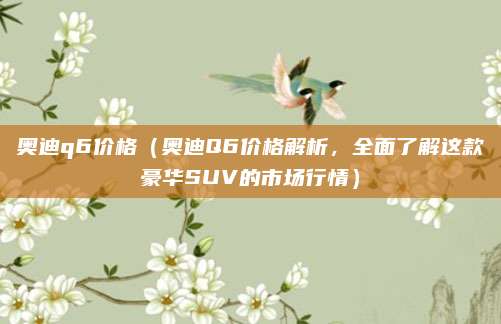 奥迪q6价格(奥迪Q6价格解析,全面了解这款豪华SUV的市场行情)