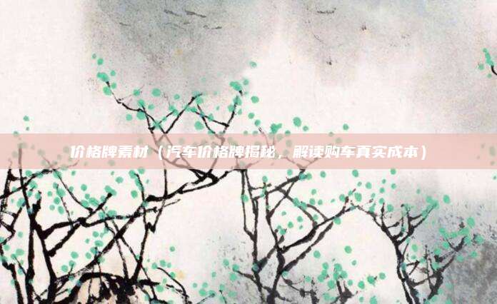 价格牌素材(汽车价格牌揭秘,解读购车真实成本)