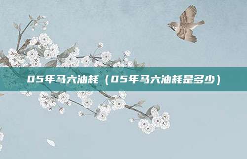 05年马六油耗(05年马六油耗是多少)