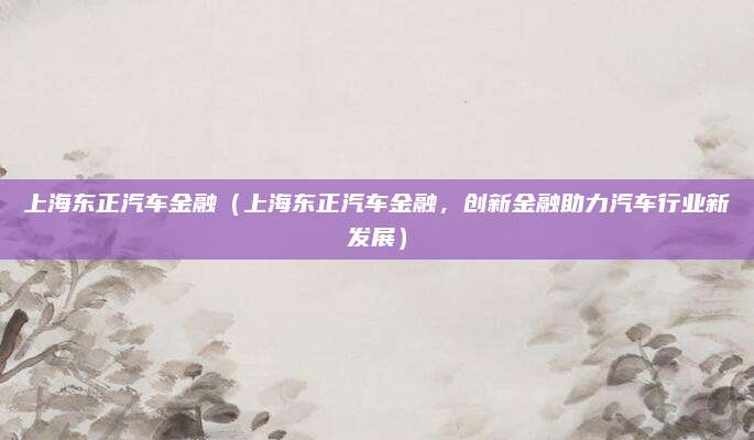 上海东正汽车金融(上海东正汽车金融,创新金融助力汽车行业新发展)