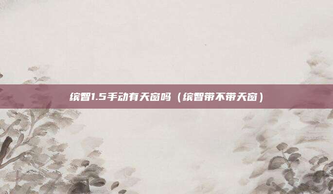 缤智1.5手动有天窗吗（缤智带不带天窗）