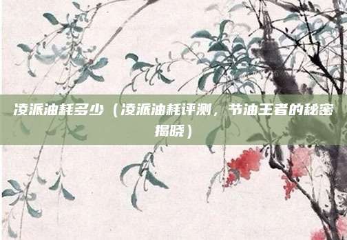 凌派油耗多少(凌派油耗评测,节油王者的秘密揭晓)