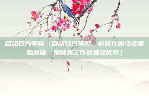 自动挡汽车脚(自动挡汽车脚,新时代的驾驶辅助利器,揭秘其工作原理及优势)
