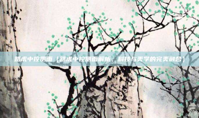 路虎中控侧面(路虎中控侧面解析,科技与美学的完美融合)