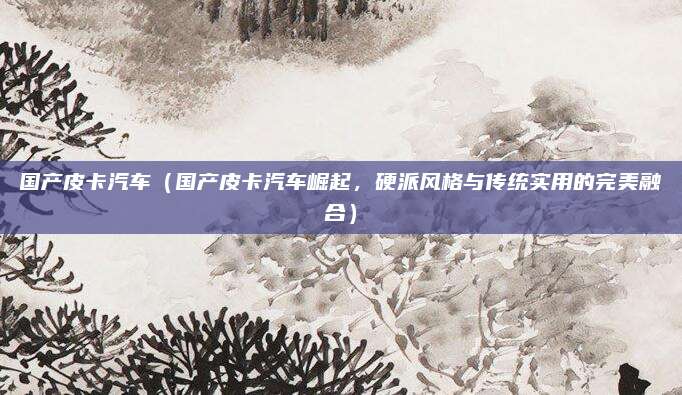 国产皮卡汽车（国产皮卡汽车崛起，硬派风格与传统实用的完美融合）