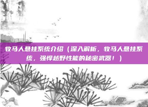牧马人悬挂系统介绍(深入解析,牧马人悬挂系统,强悍越野性能的秘密武器!)