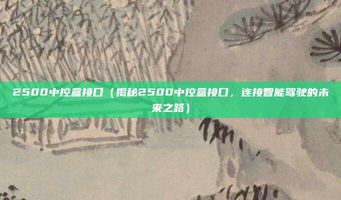 2500中控盒接口(揭秘2500中控盒接口,连接智能驾驶的未来之路)