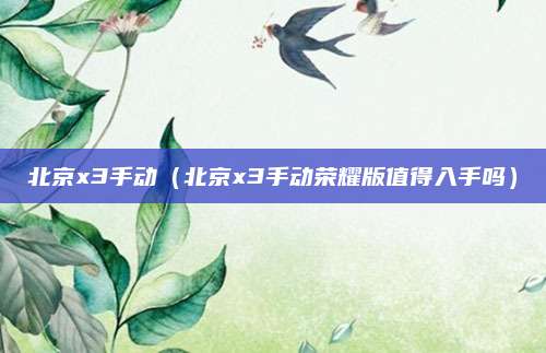 北京x3手动(北京x3手动荣耀版值得入手吗)
