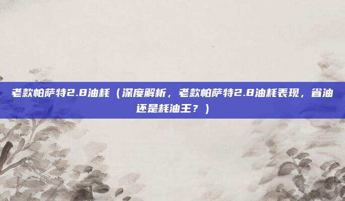 老款帕萨特2.8油耗(深度解析,老款帕萨特2.8油耗表现,省油还是耗油王?)