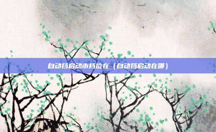 自动挡启动市档位在(自动挡启动在哪)