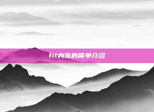 fit内饰的简单介绍