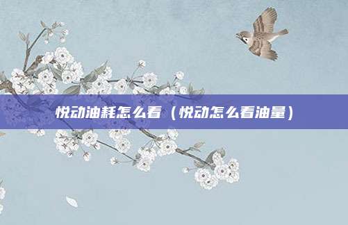 悦动油耗怎么看(悦动怎么看油量)
