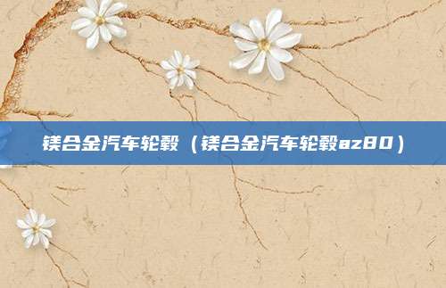 镁合金汽车轮毂(镁合金汽车轮毂az80)