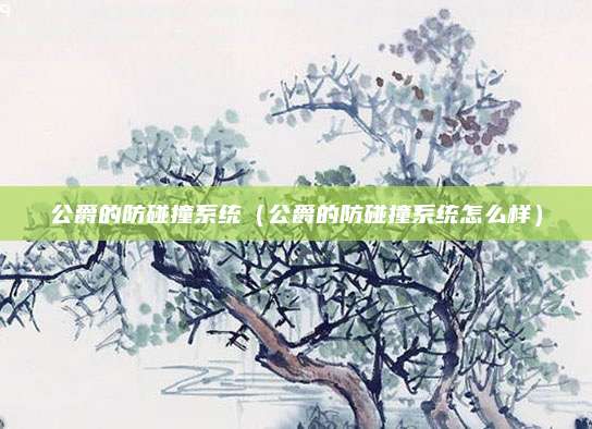 公爵的防碰撞系统(公爵的防碰撞系统怎么样)