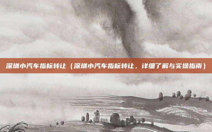 深圳小汽车指标转让(深圳小汽车指标转让,详细了解与实操指南)