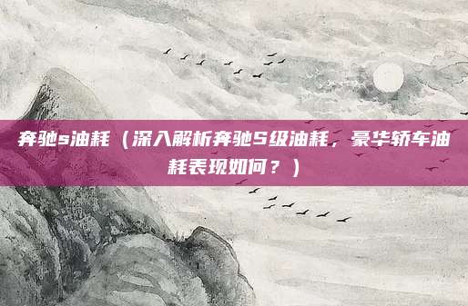 奔驰s油耗(深入解析奔驰S级油耗,豪华轿车油耗表现如何?)