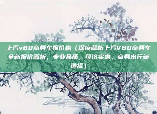 上汽v80商务车报价格(深度解析上汽V80商务车全新报价解析,专业品质,经济实惠,商务出行新选择)