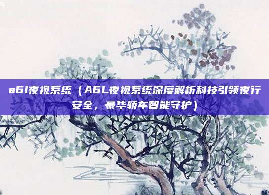 a6l夜视系统(A6L夜视系统深度解析科技引领夜行安全,豪华轿车智能守护)